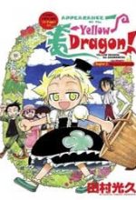 Appearance of the Yellow Dragon