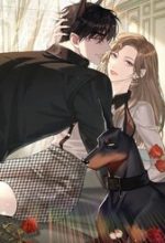 Tên Đàn Ông Này Thật Sự Là Một Tên Cẩu Mà